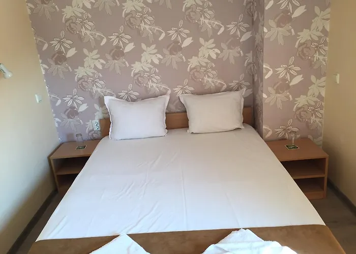 Afrodita 招待所 2*