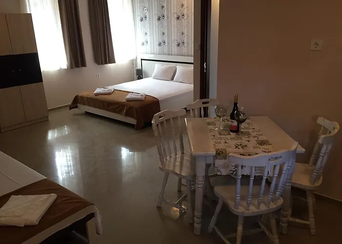 招待所 Afrodita 切尔诺莫雷茨